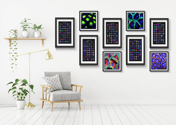 Complete Set of 5 Zoanthids Prints - Cool Reef Inspired Animal Print- Zoanthids by Christina VOL 1-5 - 8.5x11