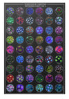 270 Unique Zoanthids Identification Poster for Reef Aquariums Complete Set of 5 Zoanthids Posters - Zoanthids by Christina VOL 1-5 - 24x36