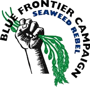 Blue frontier ocean awareness