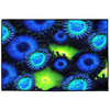 Blue & Green Zoa Garden Indoor/Outdoor Floor Mats