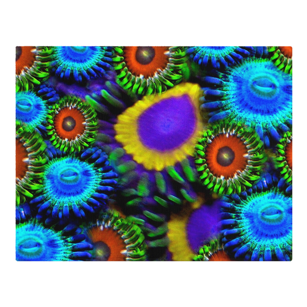 Zoanthid Garden Woven Placemats