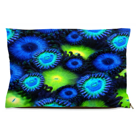 Blue & Green Zoa Garden Dog Beds