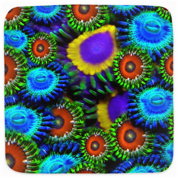 Zoanthid Garden Hooded Baby Towels