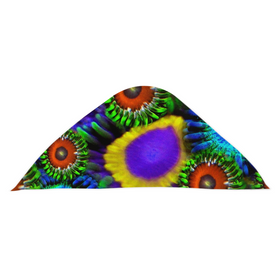 Zoanthid Garden Hooded Baby Towels