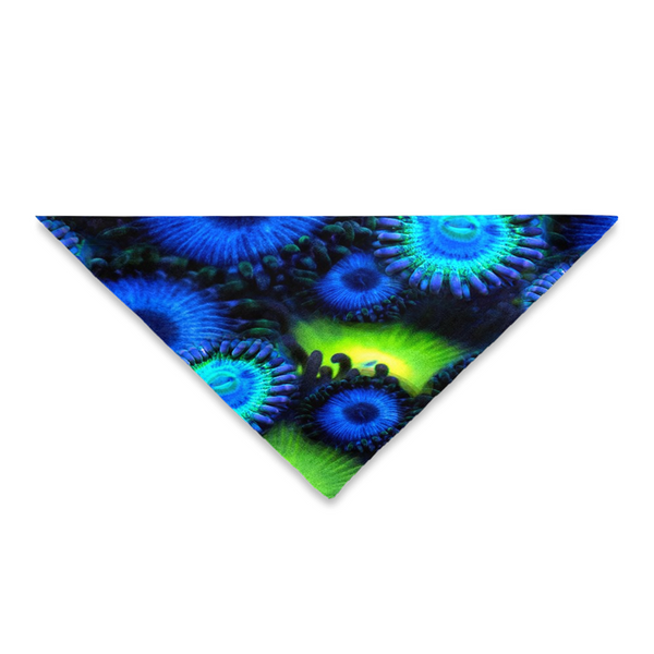 Blue & Green Zoa Garden Pet Bandanas