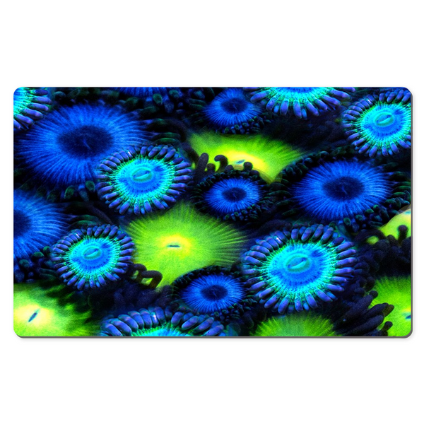 Blue & Green Zoa Garden Desk Mats