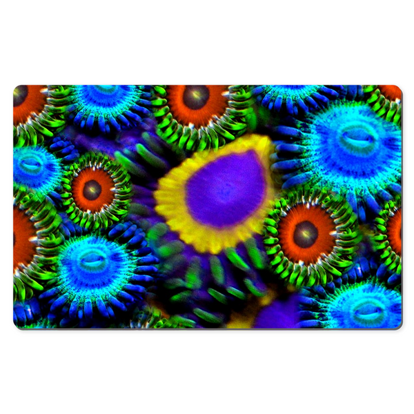 Zoanthid Garden Desk Mats