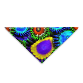 Zoanthid Garden Pet Bandanas