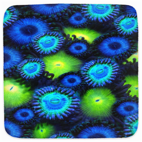 Blue & Green Zoa Garden Hooded Baby Towels