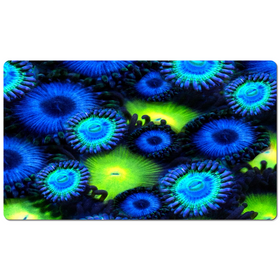 Blue & Green Zoa Garden Desk Mats