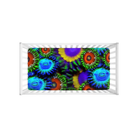 Zoanthid Garden Crib Sheets