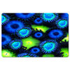 Blue & Green Zoa Garden Desk Mats