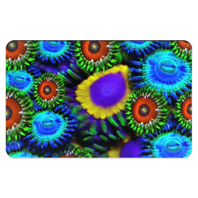 Zoanthid Garden Pet Placemats